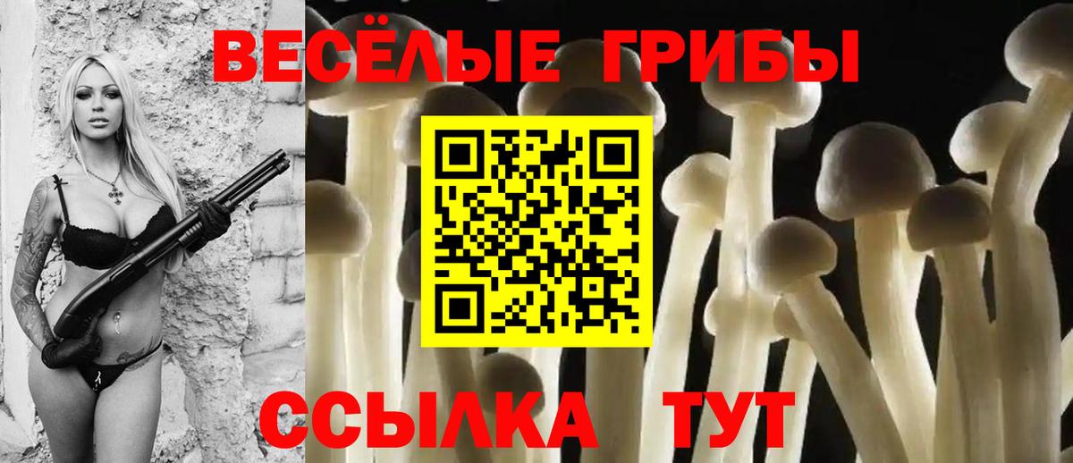 Псилоцибиновые грибы мицелий  Вход с VPN  Краснотурьинск 