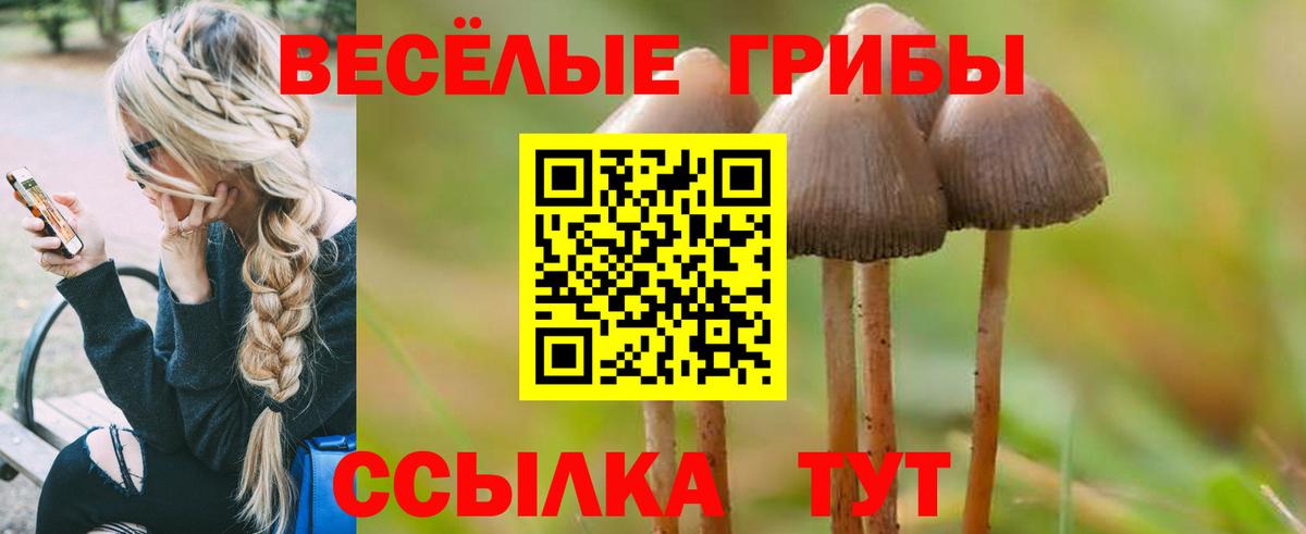 Псилоцибиновые грибы прущие грибы Краснотурьинск